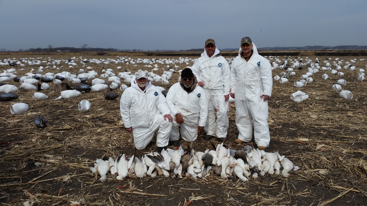 Missouri Snow Goose Hunting Photo